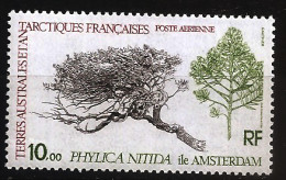 TAAF Terres Australes 1979 N° PA 60 ** Botanique, Phylica Nitida, Arbre, Île Amsterdam, Ambaville Bâtard Phylica Arborea - Neufs