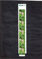 Vanuatu 1999 Bird, Shining Cuckoo Booklet Of 5V MNH - Vanuatu (1980-...)