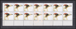 Portugal 2003 Aves Peto-verde Picus Viridis Woodpecker Bird Oiseaux Specht Pic Pájaro Carpintero Hackspett Faune Fauna - Feuilles Complètes Et Multiples