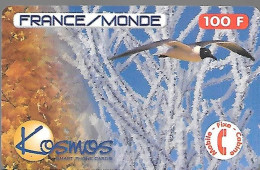 CARTE-PREPAYEE-FRANCE-KOSMOS-100F-11/99-OISEAU-MOUETTE-Plastic Mat-Gratté-TBE - Autres & Non Classés