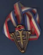 Médaille Uniface En Bronze  - V De La Victoire Et Croix De Lorraine - Francia