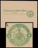 1923 COSTA RICA H&G 2 RRR -  UPU 4 CENT GREEN WRAPPER IMPRESOS - PINEAPPLE ANANAS PIÑA - VERY RARE - Frutas