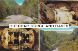 CHEDDAR GORGE AND CAVES, CHEDDAR, SOMERSET, ENGLAND. UNUSED POSTCARD   Ke2 - Cheddar