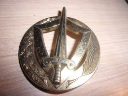 Insigne De Béret De L' Armée Centrafricaine - Centre Afrique - Cascos