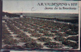 Postal Jerez De La Frontera. A.R. Valdespino Y Hnos. 7-1a91 - Jaén