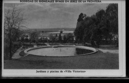 Postal Jerez De La Frontera. Bodegas De Gonzalez Byass. Jardines Y Piscina De Villa Victorina. 7-1a92 - Jaén