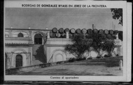 Postal Jerez De La Frontera. Bodegas De Gonzalez Byass. Camino Al Apartadero. 7-1a94 - Jaén