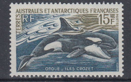 TAAF 1969 Definitive Orque/Orca 1v ** Mnh (BTA) - Neufs