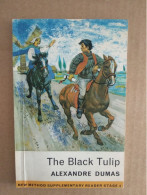 ALEXANDRE DUMAS - THE BLACK TULIP - Histoire