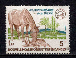 Nouvelle Calédonie - 1977 - Race Chevaline - N° 415 - Neuf ** - MNH - Ongebruikt