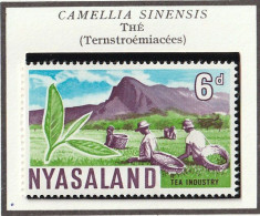 NYASALAND - Thé, Pin, Tabac, Coton, Afzelia Africana - 1953 - MNH - Rhodesien & Nyasaland (1954-1963)