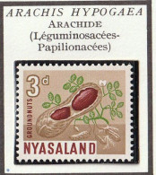 NYASALAND - Arachide - 1964 - MNH - Rhodesië & Nyasaland (1954-1963)