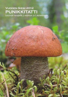 Mushroom - Champignon - Paddestoel - Pilz - Fungo - Cogumelo - Seta - Punikkitatti - Leccinum Aurantiacum - Champignons