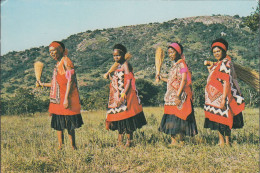 Swasiland - Married Woman Going To Traditional Dance - Swazilandia