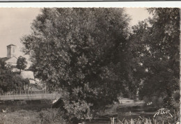 CHEF-BOUTONNE . - La Boutonne Au Moulin D'Eppaillard. CPSM 9x14  Pas Courante - Chef Boutonne