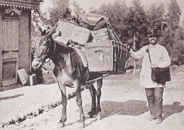 CPM - Carte Double - Transport Du Courrier à Dos De Mulet En 1900 - Port