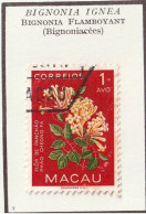 MACAU - Fleurs, Flowers, Bignonia Flamboyant - Y&T N° 394 - 1953 - Oblitéré - Covers & Documents