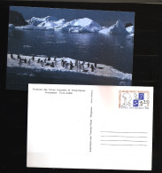 TAAF Terres Australes 1991 N° Entier 1 ** Amiral Max Douguet, Ours En Peluche, Ourson, Manchots, Groenland, Explorateur - Interi Postali