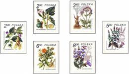 Polonia. Poland. 1980. Mi 2706 / 11. Medicinal Plants - Médecine