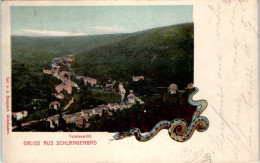 Gruss Aus SCHLANGENBAD - Totalansicht  - Schlangenbad