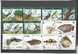 52578 ) Collection Cuba Postmark Birds Fish - Collections, Lots & Series