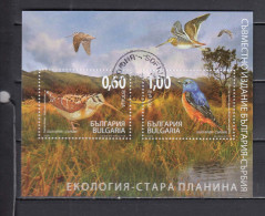 Bulgaria 2009 - Birds In The Balkan Mountains, Mi-nr. Bl. 308, Used - Used Stamps