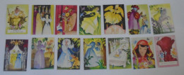 D198341  Lot Of  15   Images Chromo  Chocolats Fins Menier - Menier