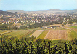 Wittlich - Vue Sur La Ville - Wittlich