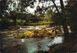 Wittlich - Petite Chute D'eau - Wittlich