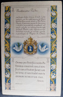 Carte De Franchise Postale D'Italie : Jubilé Episcopale, Pape Pie XII, Colombe - Palomas, Tórtolas