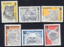 BULGARIA 1989 Cats MNH / **.  Michel 3808-13 - Ongebruikt