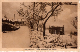 CARAMULO  - Outro Aspecto D'um Nevão - PORTUGAL - Vila Real