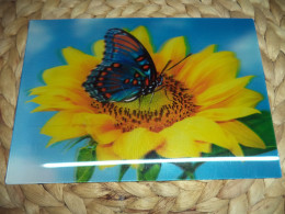 Schmetterlinge Postkarte Postcard 3D Lenticular - Papillons