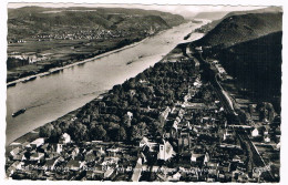 D-15553  BAD NIEDERBREISIG : Blick Ins Rheintal Mit Insel Hammerstein - Bad Breisig