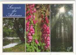 SOUVENIR DES ARDENNES . Multivues . DIGITALE POURPE - Plantes Toxiques