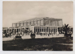 1000 BERLIN - FRIEDRICHSFELD, Tierpark / Zoo, Alfred Brehm Haus, 1963 - Friedrichshain