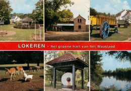 LOKEREN-HET GROENE HART VAN DE WAASLAND - Lokeren