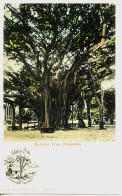 11346 - Amérique - Etats Unis - HAWAII   HONOLULU :  BANYAN  TREE , HONOLULU - Honolulu