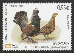 Montenegro 2019 Europa CEPT National Birds Fauna Blackcock Tetrao Urogallus MNH - 2019