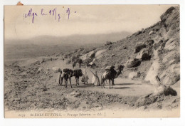 Delcampe - CPA - Algérie -  Paysage Saharien - Blida