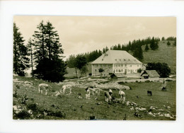 Cernier - Hotel De La Vue Des Alpes - Cernier