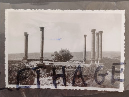 LIBAN QANA KANAOUAT TEMPLE ROMAIN PHOTOGRAPH EARLY 1900s #1/66 PAPER VELOX - Azië