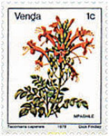 681873 MNH VENDA 1979 FLORES - Venda