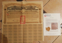 CHINA 1913, Petchili Bound Avec Coupons N°27 à N°80 Et PASSCO - Azië