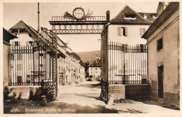 Delémont - Entrée Du Château - Delémont