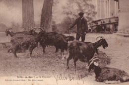 64 Salies-de-Bearn - Le Chevrier Chevre Goat - Salies De Bearn