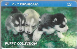 CARTE-PREPAYEE-1997-GB-D.I.T-2£-CHIOTS/PUPPY Collection-Plastic Epais-R° Glacé--TBE - Chiens