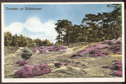 Driebergen  - Heideserie No.10  - Driebergen – Rijsenburg