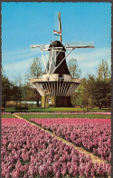 Lisse - Keukenhof - Bloemen En Windmolen  - Lisse