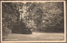 Zutphen - Slingerbosch Met Wandelaars - 1943 - Zutphen